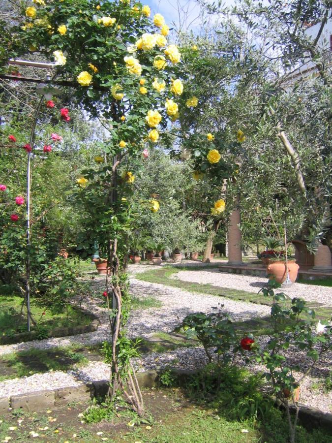 Suite Lidia B&B Sorrento Kültér fotó