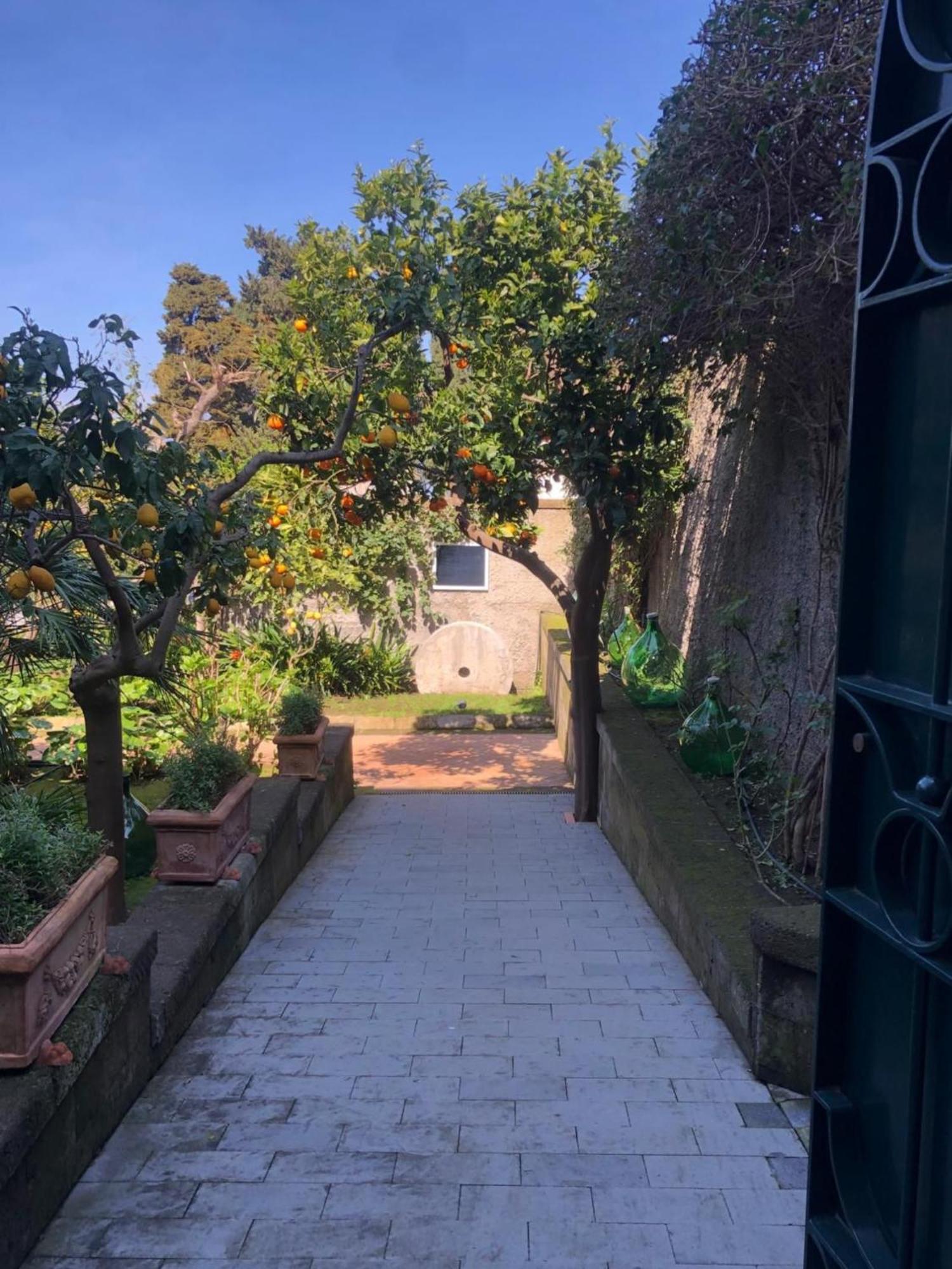 Suite Lidia B&B Sorrento Kültér fotó