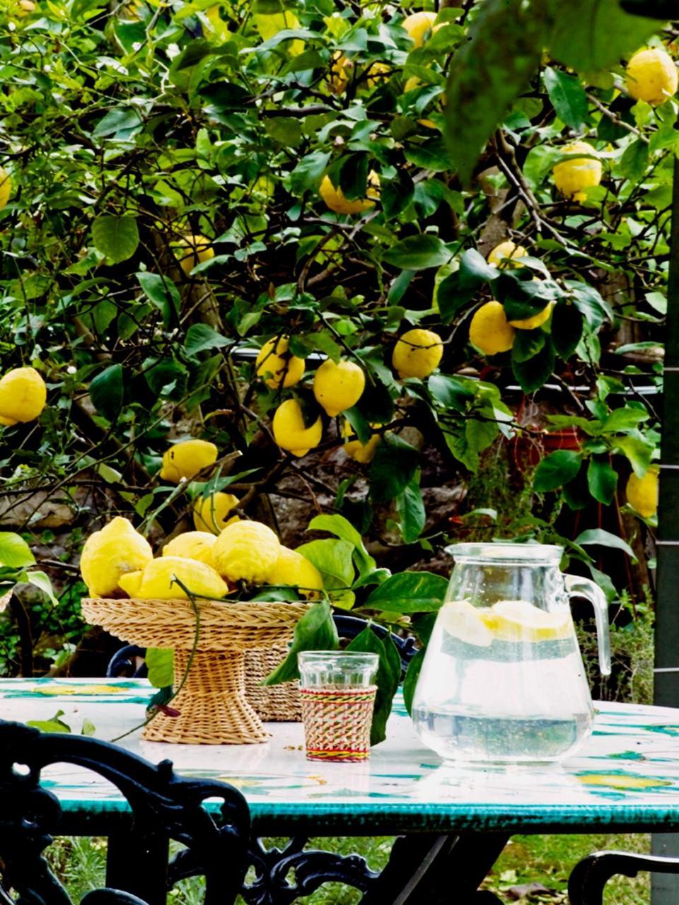 Suite Lidia B&B Sorrento Kültér fotó